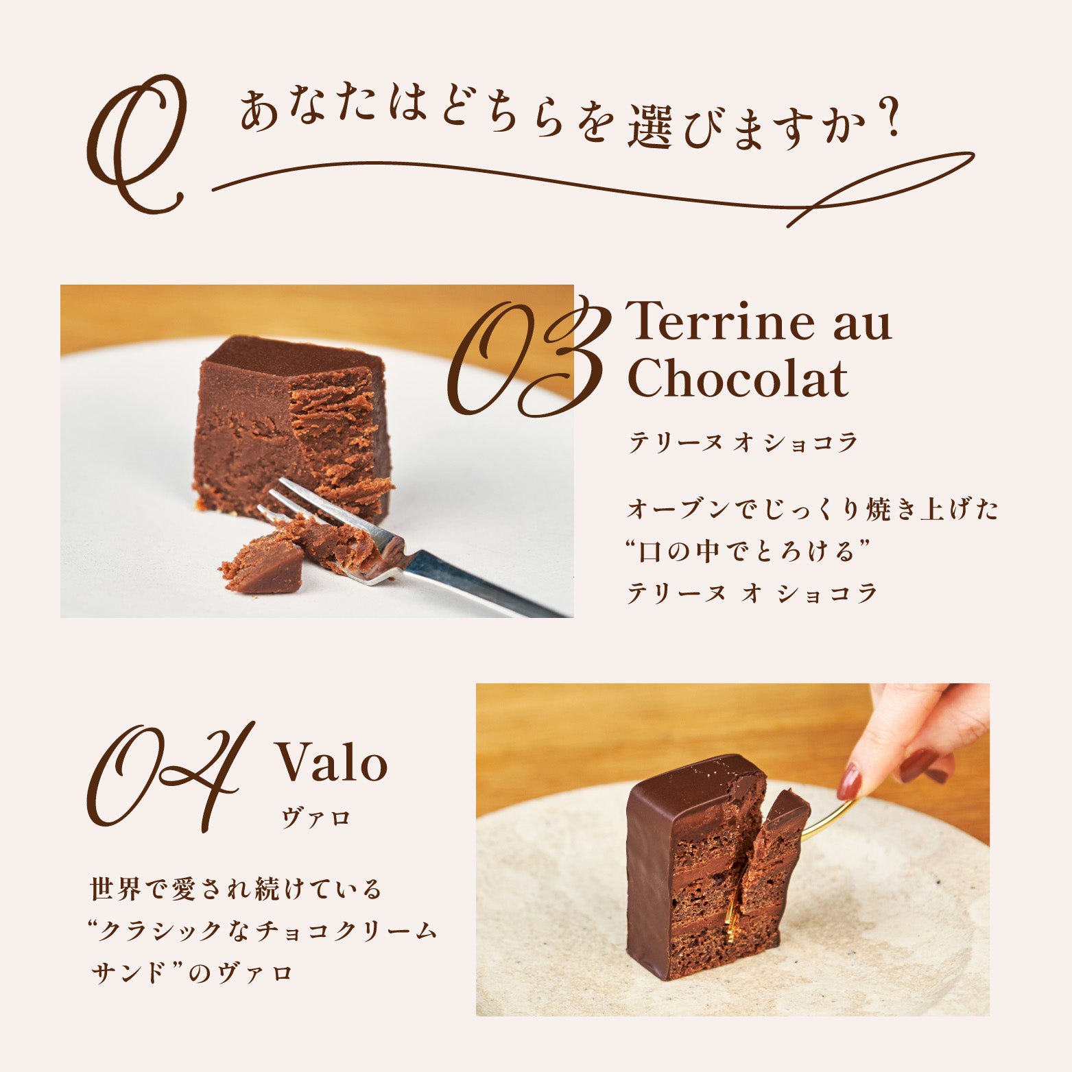 ケーキ 高級チョコレート 選べる2種セット ガトーショコラ パウンドケーキ ギフト オレンジ スイーツ プレゼント お取り寄せ