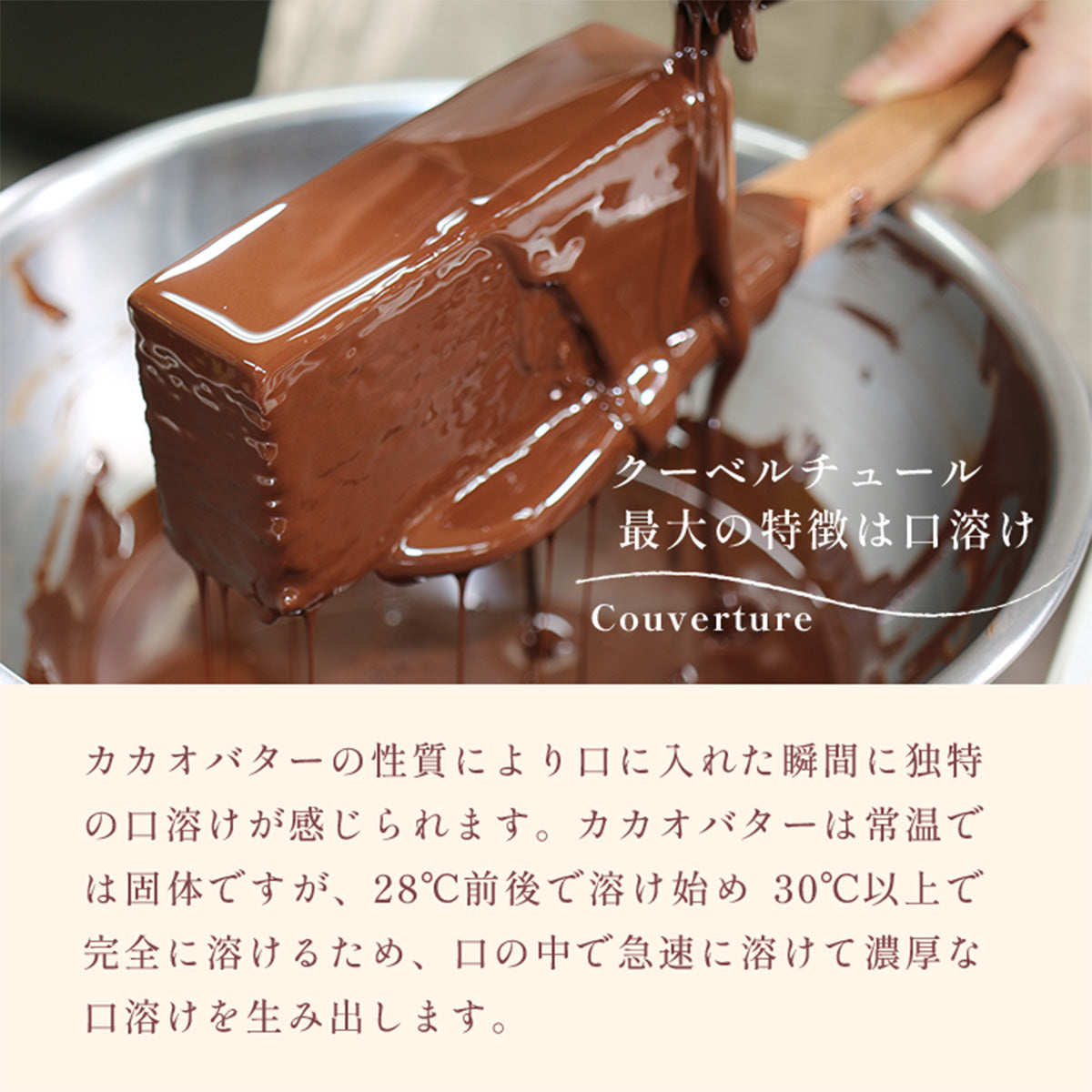 新品未使用 brunt sup サップ チョコチップ
